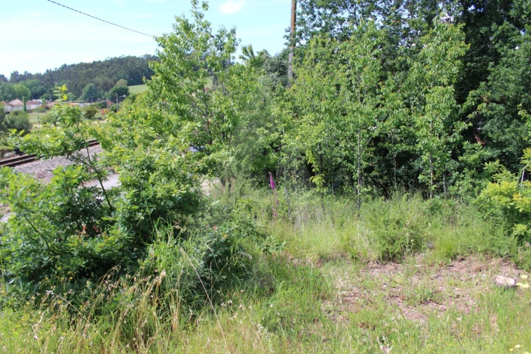 Terreno para Venda em Travassô e Óis da Ribeira Foto 9