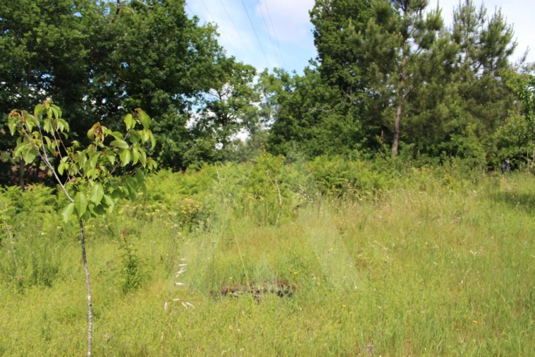 Terreno para Venda em Travassô e Óis da Ribeira Foto 10