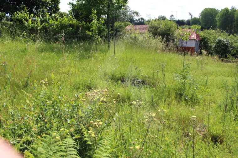 Terreno para Venda em Travassô e Óis da Ribeira Foto 11