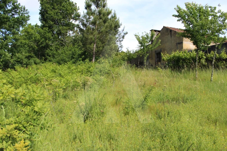 Terreno para Venda em Travassô e Óis da Ribeira Foto 12