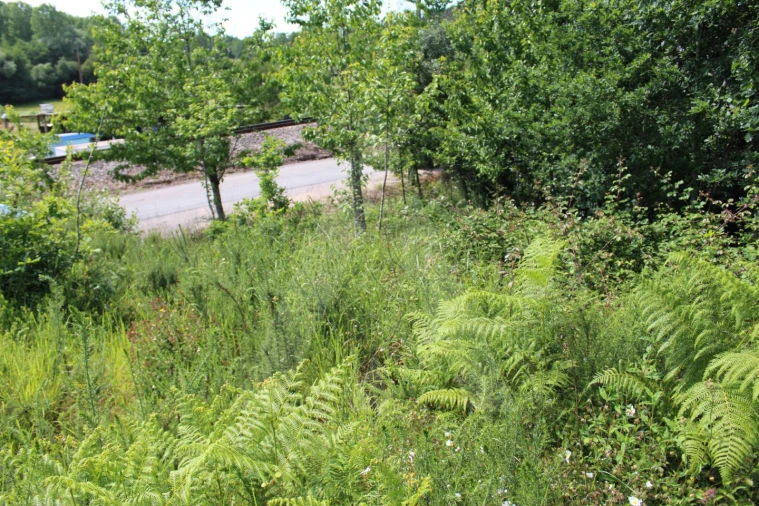 Terreno para Venda em Travassô e Óis da Ribeira Foto 13