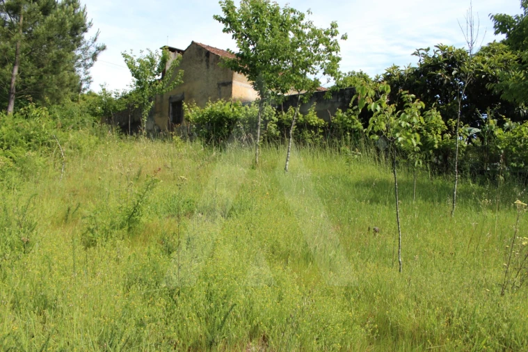 Terreno para Venda em Travassô e Óis da Ribeira Foto 14
