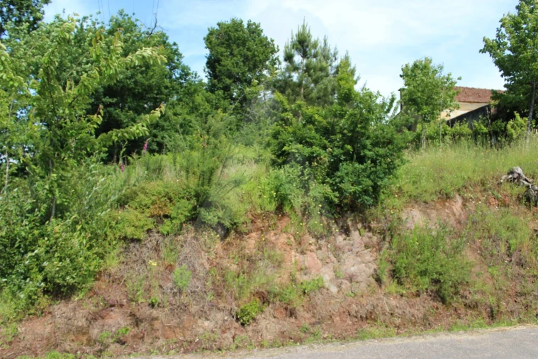 Terreno para Venda em Travassô e Óis da Ribeira Foto 19