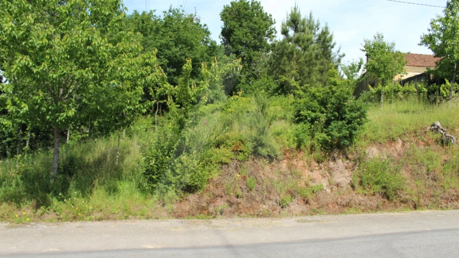 Terreno para Venda em Travassô e Óis da Ribeira
