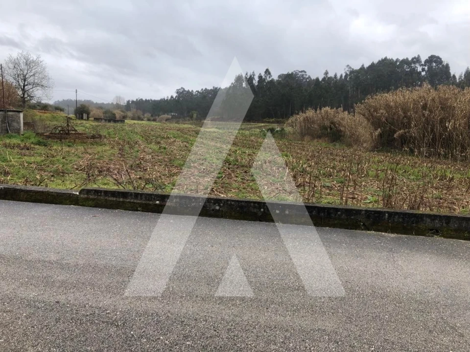Terreno para Venda em Amoreira da Gândara, Paredes do Bairro e Ancas Foto 5