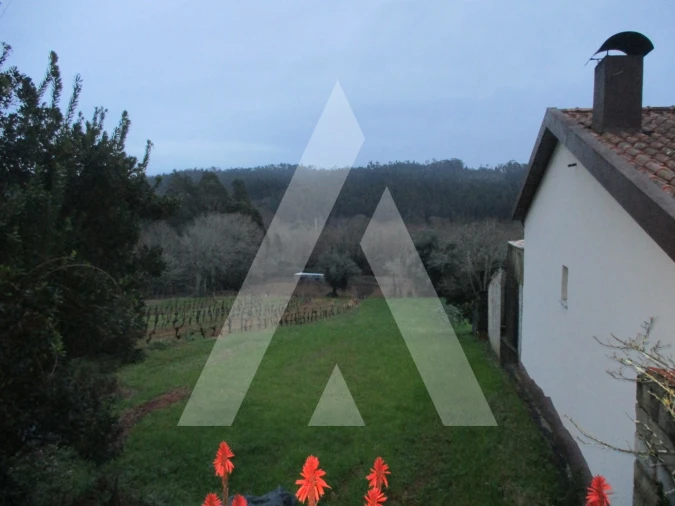 Terreno para Venda em Macinhata do Vouga Foto 1