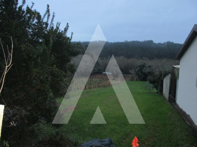 Terreno para Venda em Macinhata do Vouga Foto 2