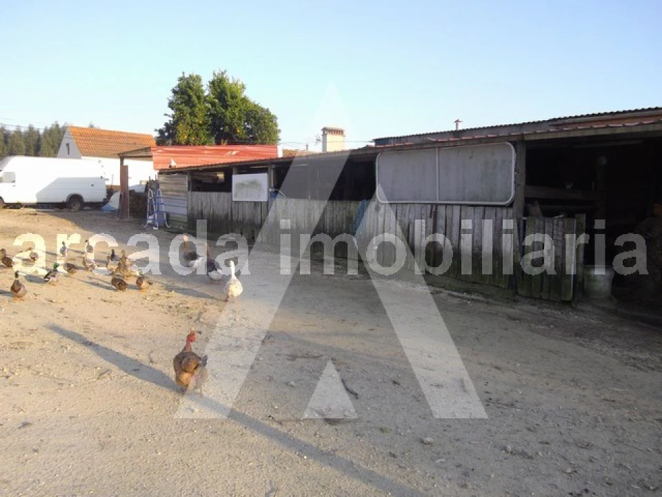 Terreno para Venda em Sangalhos Foto 4
