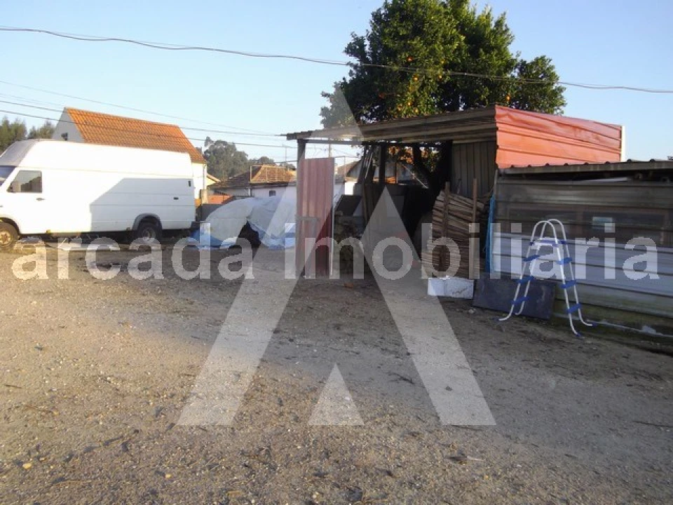 Terreno para Venda em Sangalhos Foto 5