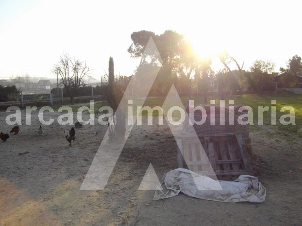 Terreno para Venda em Sangalhos Foto 2