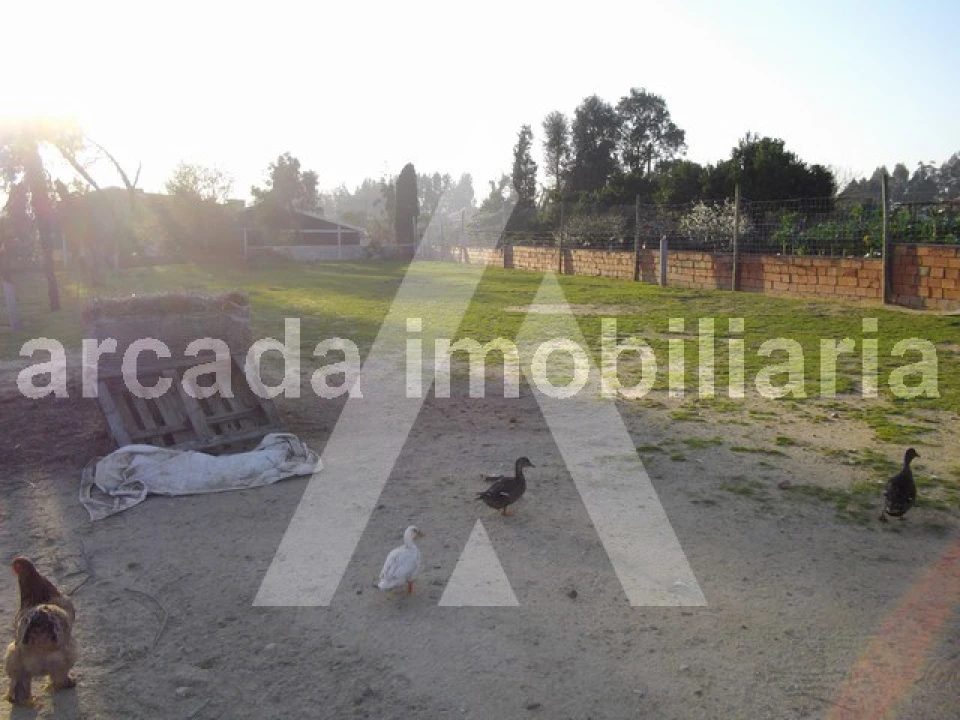 Terreno para Venda em Sangalhos Foto 6