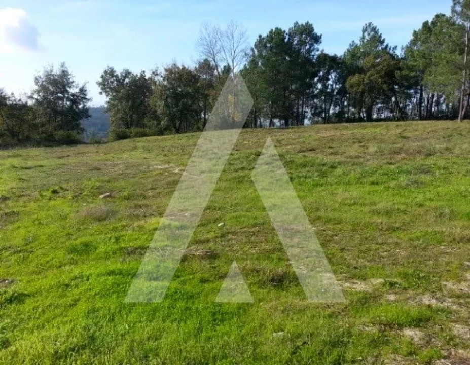 Terreno para Venda em Santa Eufémia e Boa Vista Foto 2