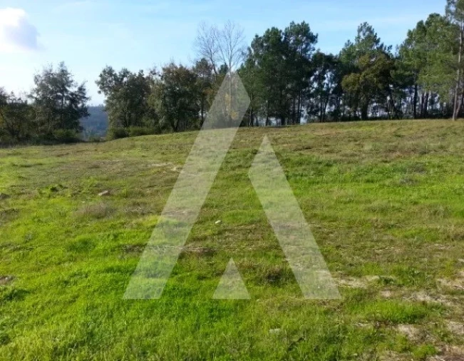 Terreno para Venda em Santa Eufémia e Boa Vista Foto 2