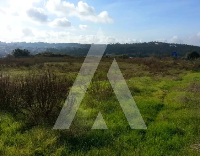 Terreno para Venda em Santa Eufémia e Boa Vista Foto 4