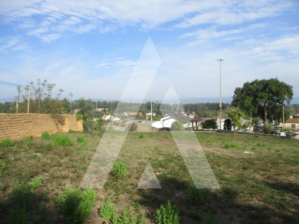 Terreno para Venda em Barrô e Aguada de Baixo Foto 1
