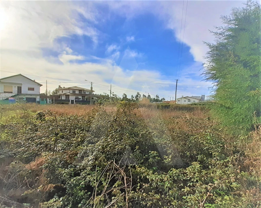 Terreno para Venda em Mira Foto 2