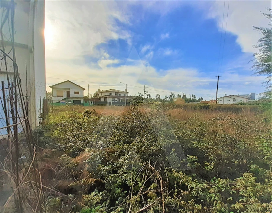 Terreno para Venda em Mira Foto 3