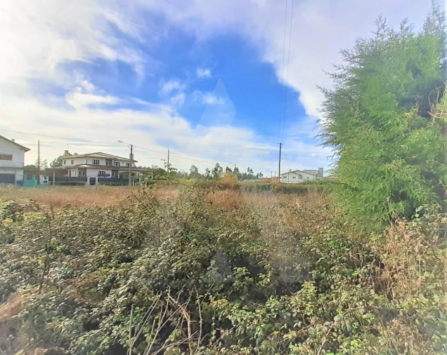 Terreno para Venda em Mira Foto 4