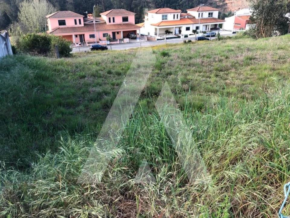Terreno para Venda em Águeda e Borralha Foto 1