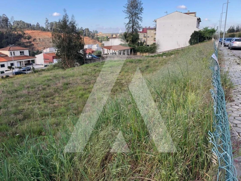 Terreno para Venda em Águeda e Borralha Foto 3