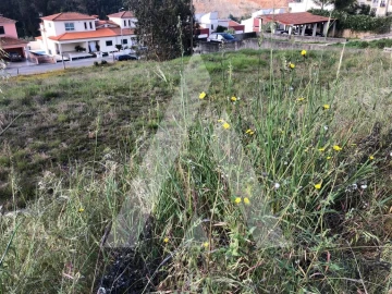 Terreno para Venda em Águeda e Borralha