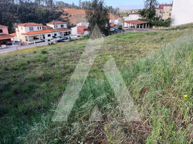 Terreno para Venda em Águeda e Borralha Foto 4