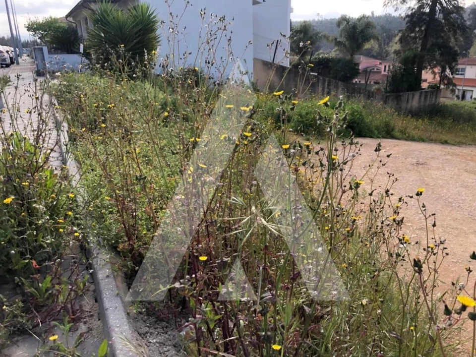 Terreno para Venda em Águeda e Borralha Foto 1