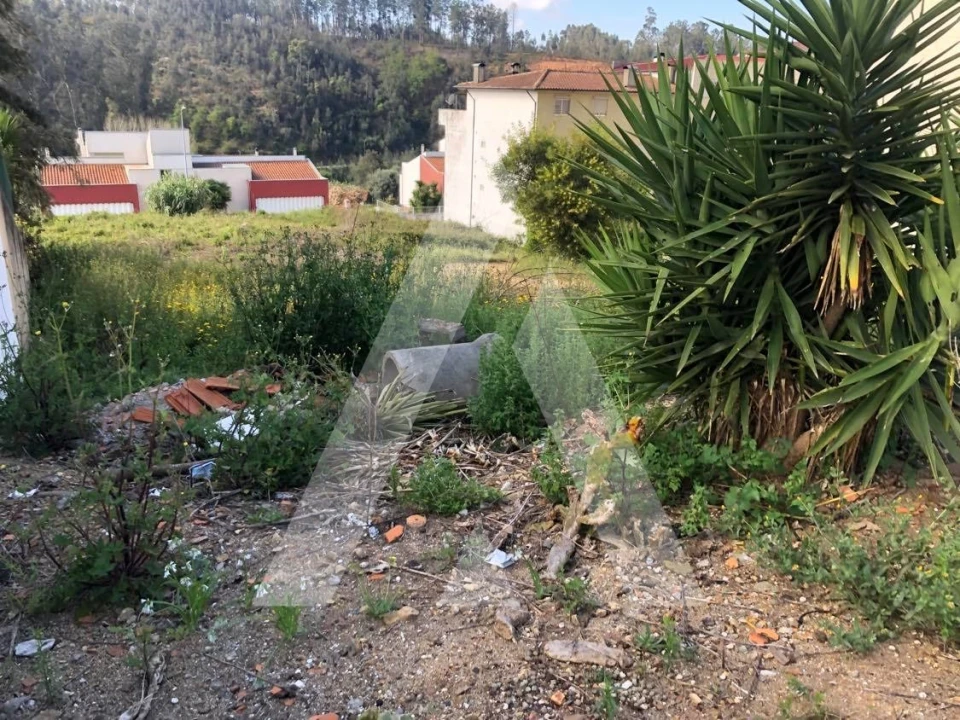 Terreno para Venda em Águeda e Borralha Foto 3