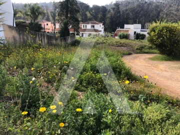 Terreno para Venda em Águeda e Borralha