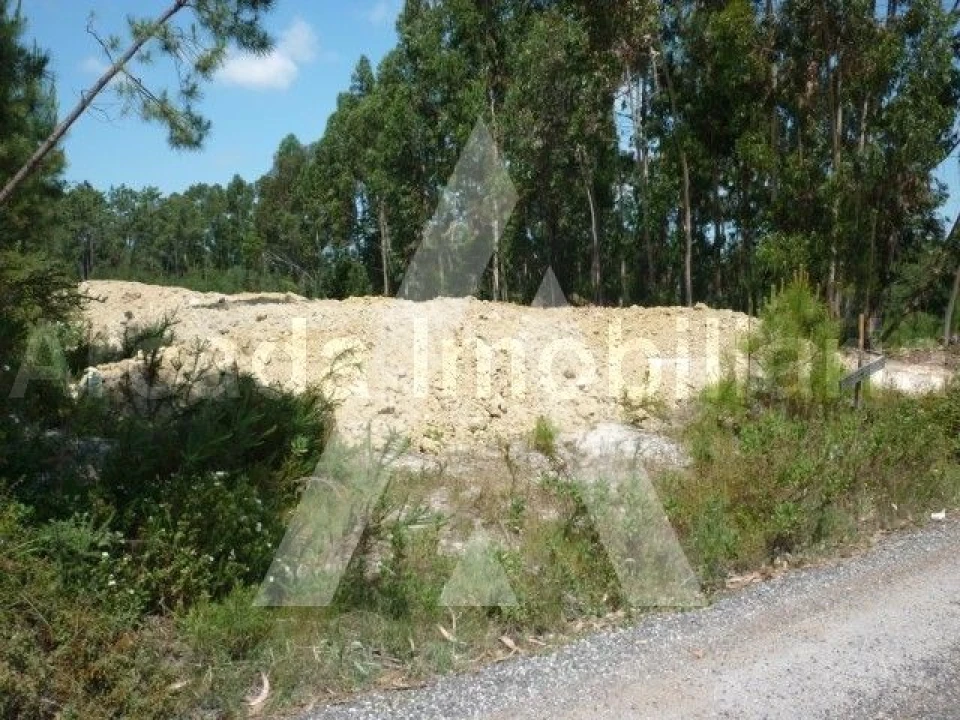 Terreno para Venda em Bustos, Troviscal e Mamarrosa Foto 1