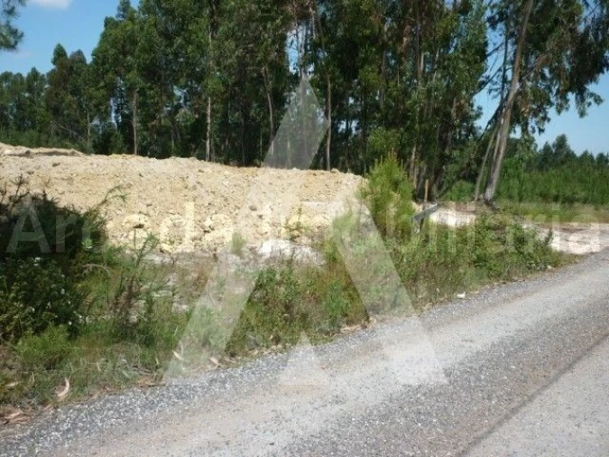 Terreno para Venda em Bustos, Troviscal e Mamarrosa Foto 3