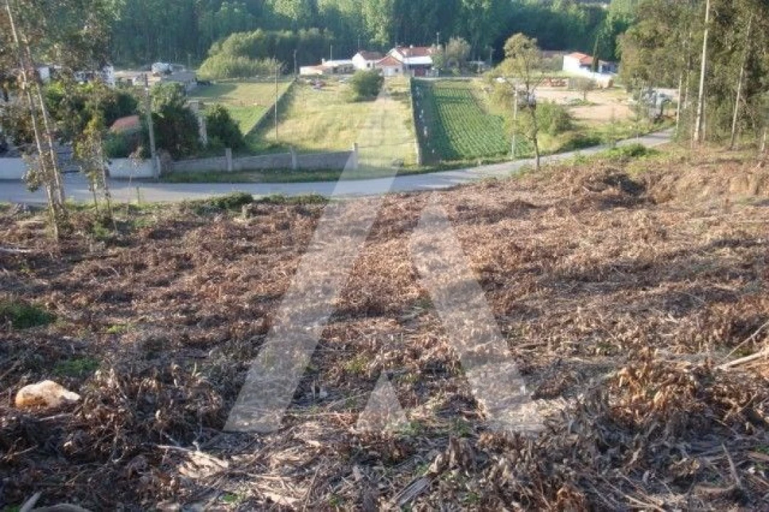 Terreno para Venda em Aguada de Cima Foto 3