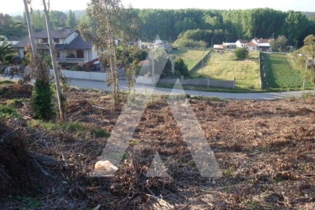 Terreno para Venda em Aguada de Cima Foto 1