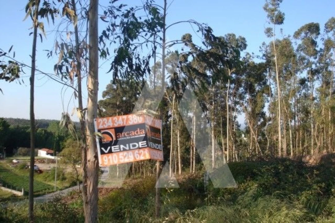 Terreno para Venda em Aguada de Cima Foto 5