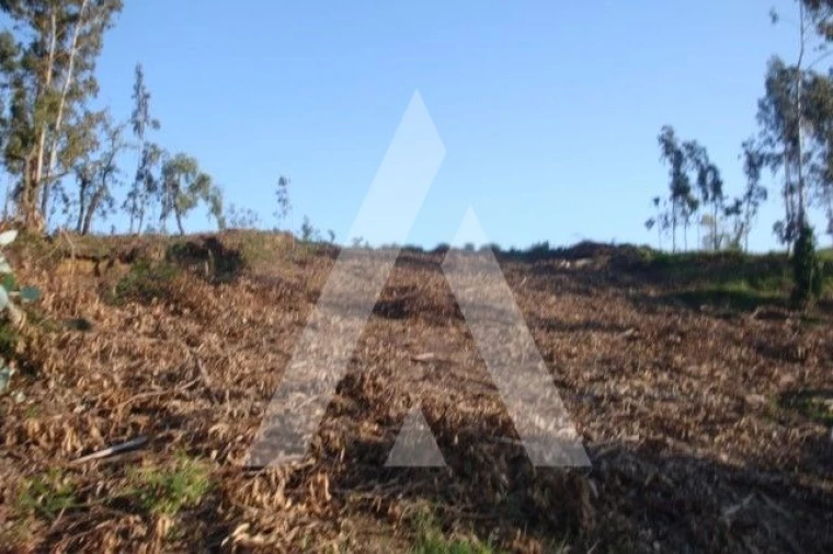 Terreno para Venda em Aguada de Cima Foto 2