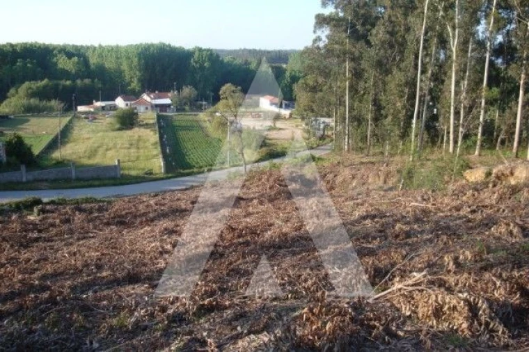 Terreno para Venda em Aguada de Cima Foto 4