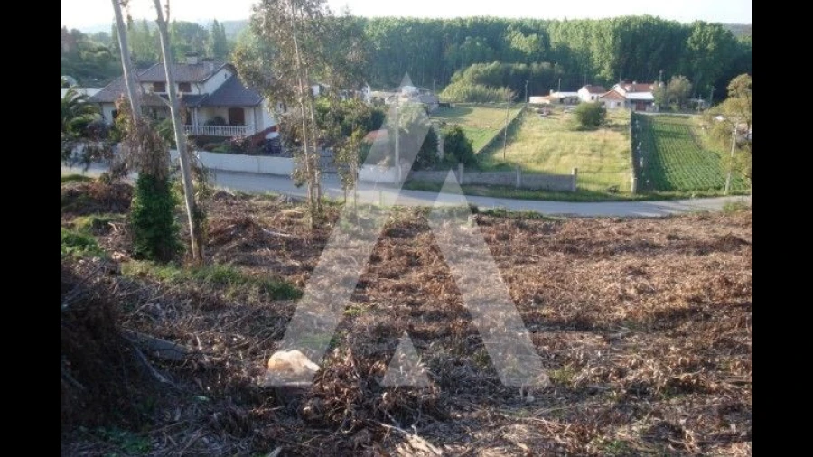 Terreno para Venda em Aguada de Cima