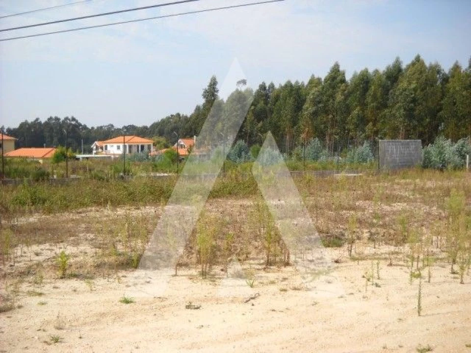 Terreno para Venda em Esgueira Foto 1