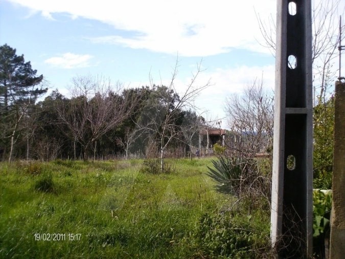 Terreno para Venda em Aguada de Cima