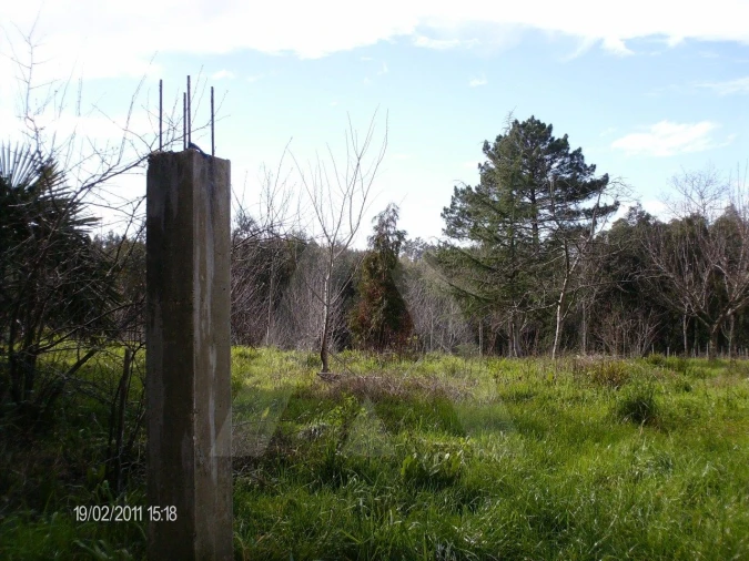Terreno para Venda em Aguada de Cima Foto 2
