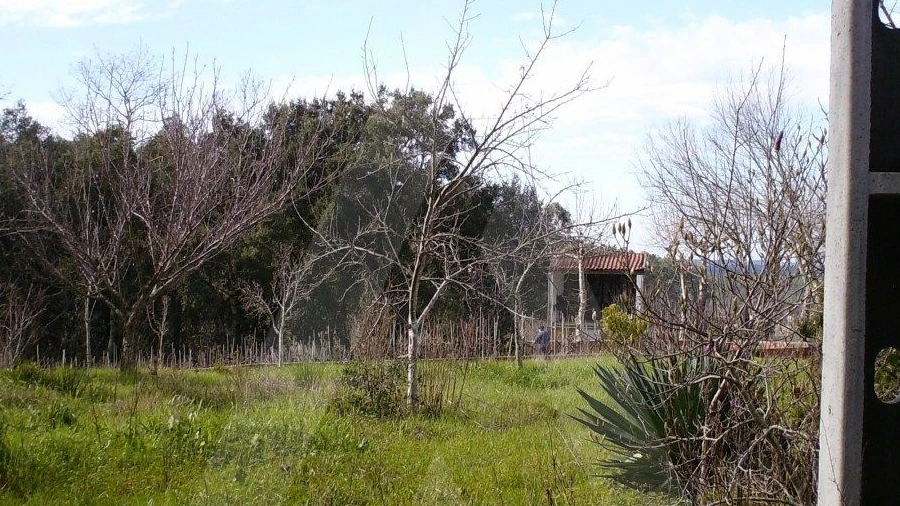 Terreno para Venda em Aguada de Cima