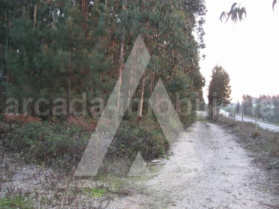 Terreno para Venda em Recardães e Espinhel Foto 4