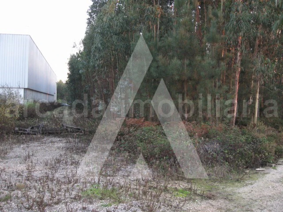 Terreno para Venda em Recardães e Espinhel Foto 1