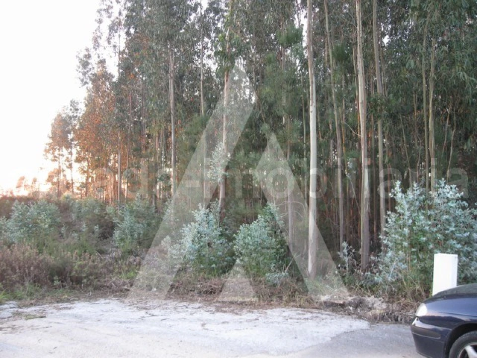 Terreno para Venda em Recardães e Espinhel Foto 6