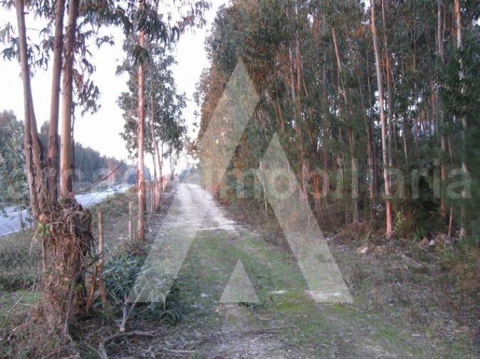 Terreno para Venda em Recardães e Espinhel Foto 2