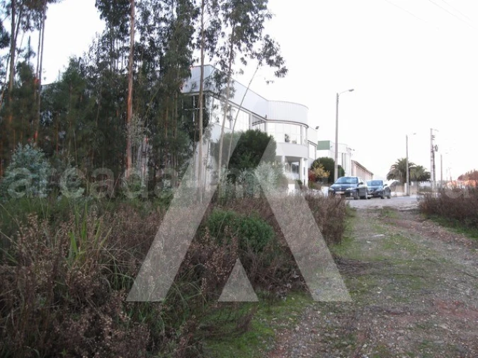 Terreno para Venda em Recardães e Espinhel Foto 5