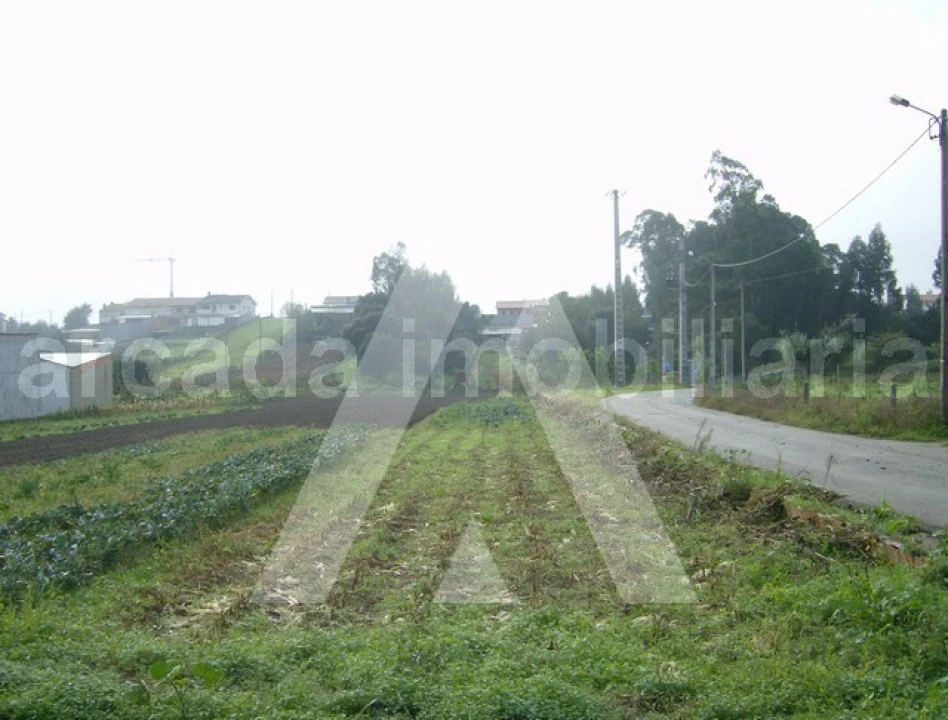 Terreno para Venda em Fermentelos Foto 1