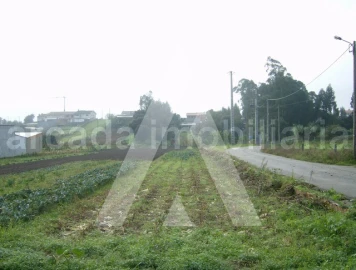 Terreno para Venda em Fermentelos