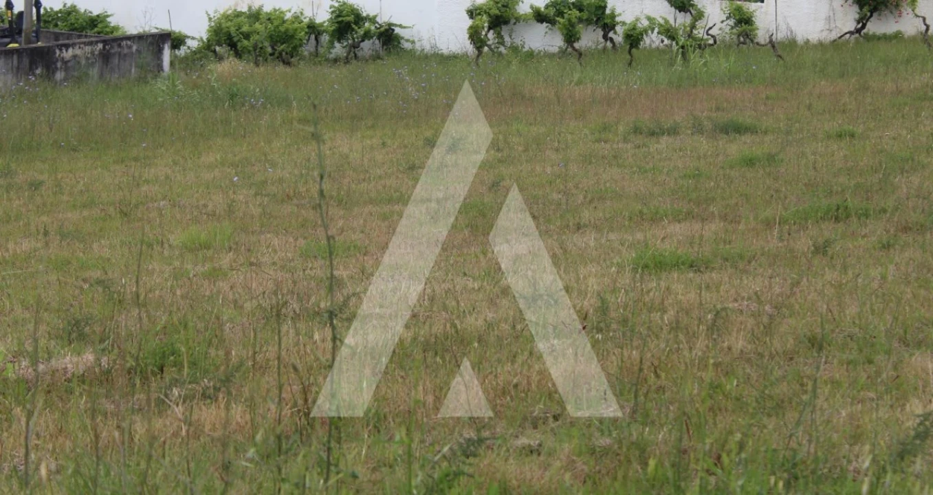 Terreno para Venda em São Lourenço do Bairro Foto 1