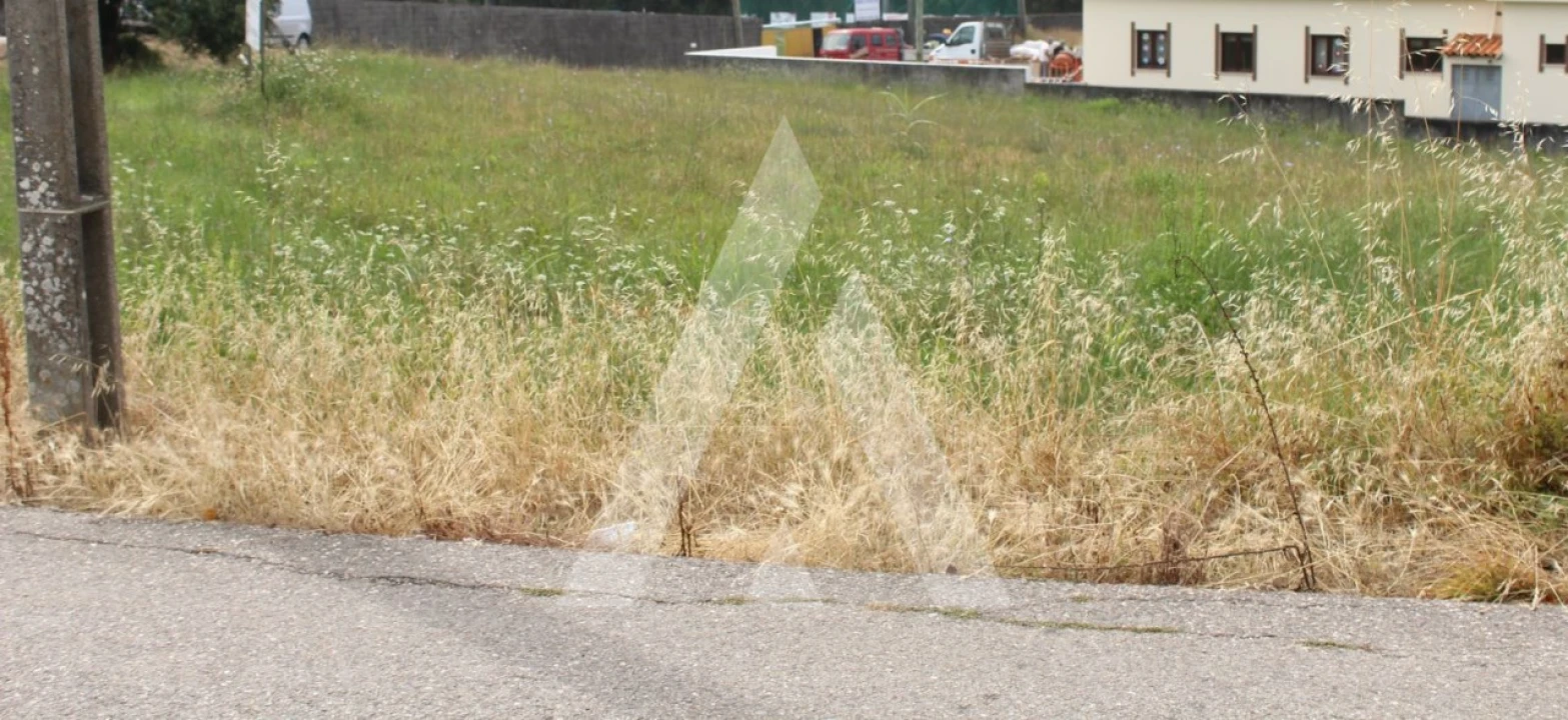 Terreno para Venda em São Lourenço do Bairro Foto 2